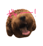 デカプーCOCOちゃん（個別スタンプ：4）