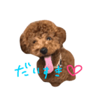 デカプーCOCOちゃん（個別スタンプ：5）