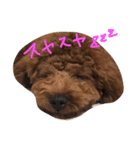 デカプーCOCOちゃん（個別スタンプ：7）