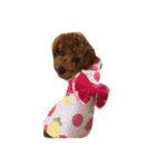 デカプーCOCOちゃん（個別スタンプ：12）