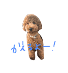 デカプーCOCOちゃん（個別スタンプ：17）