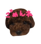 デカプーCOCOちゃん（個別スタンプ：18）