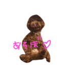 デカプーCOCOちゃん（個別スタンプ：20）