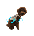 デカプーCOCOちゃん（個別スタンプ：22）