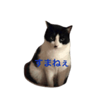 おらぎんのすけ（個別スタンプ：4）