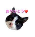 おらぎんのすけ（個別スタンプ：8）