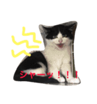 おしゃべりゆずくん（個別スタンプ：4）