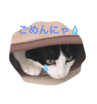 おしゃべりゆずくん（個別スタンプ：5）