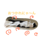 おしゃべりゆずくん（個別スタンプ：7）