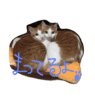 ニシふぁみりー（個別スタンプ：4）