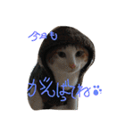 ニシふぁみりー（個別スタンプ：5）