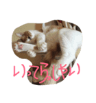ニシふぁみりー（個別スタンプ：9）