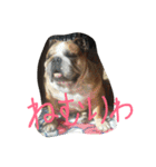 ニシふぁみりー（個別スタンプ：10）