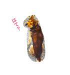 Jackieeee（個別スタンプ：1）