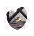 Jackieeee（個別スタンプ：2）