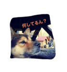 Jackieeee（個別スタンプ：3）