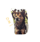 Jackieeee（個別スタンプ：6）