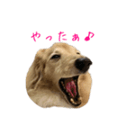 ふろてぃん すたんぷ（個別スタンプ：12）