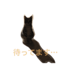 猫だよ！（個別スタンプ：15）