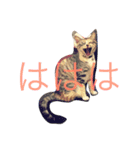 猫だよ！（個別スタンプ：19）