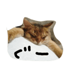 あめまるさま。（個別スタンプ：3）