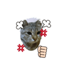 Cat Love1（個別スタンプ：5）