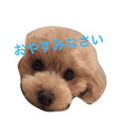 リロたんからのご挨拶（個別スタンプ：2）
