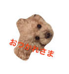 リロたんからのご挨拶（個別スタンプ：3）