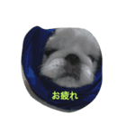鼻ぺちゃのびくん（個別スタンプ：2）