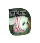 鼻ぺちゃのびくん（個別スタンプ：7）