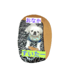 鼻ぺちゃのびくん（個別スタンプ：8）