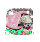 princesshana（個別スタンプ：2）