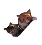 猫ぐら（個別スタンプ：3）