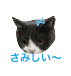 ブリティッシュ メルちゃん（個別スタンプ：9）