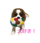 ハッピーとラブ（個別スタンプ：4）