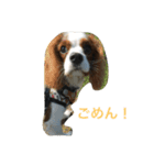 ハッピーとラブ（個別スタンプ：6）