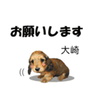 大崎さんが使う名前スタンプ・子犬イラスト（個別スタンプ：1）