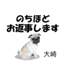大崎さんが使う名前スタンプ・子犬イラスト（個別スタンプ：11）