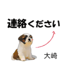大崎さんが使う名前スタンプ・子犬イラスト（個別スタンプ：12）