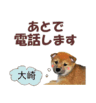 大崎さんが使う名前スタンプ・子犬イラスト（個別スタンプ：13）