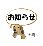 大崎さんが使う名前スタンプ・子犬イラスト（個別スタンプ：24）