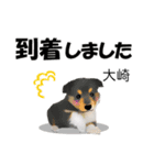 大崎さんが使う名前スタンプ・子犬イラスト（個別スタンプ：27）