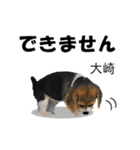大崎さんが使う名前スタンプ・子犬イラスト（個別スタンプ：29）