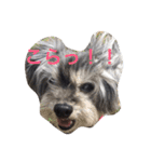 おじいちゃん犬のつぶやき（個別スタンプ：7）