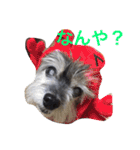 おじいちゃん犬のつぶやき（個別スタンプ：18）