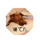 ポッキーのスタンプ（個別スタンプ：13）