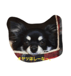 あんこのキモチ（個別スタンプ：4）