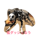 可愛い動物たちの普段使いスタンプです（個別スタンプ：4）