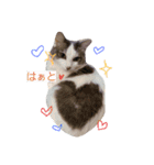 ふたごのムゥラン（個別スタンプ：7）