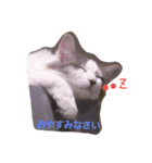 ふたごのムゥラン（個別スタンプ：8）